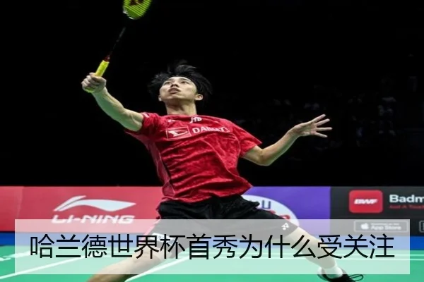 哈兰德世界杯首秀为什么受关注