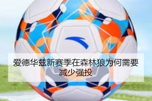 爱德华兹新赛季在森林狼为何需要减少强投